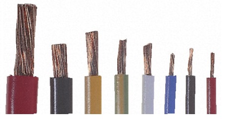 Portfolio Image